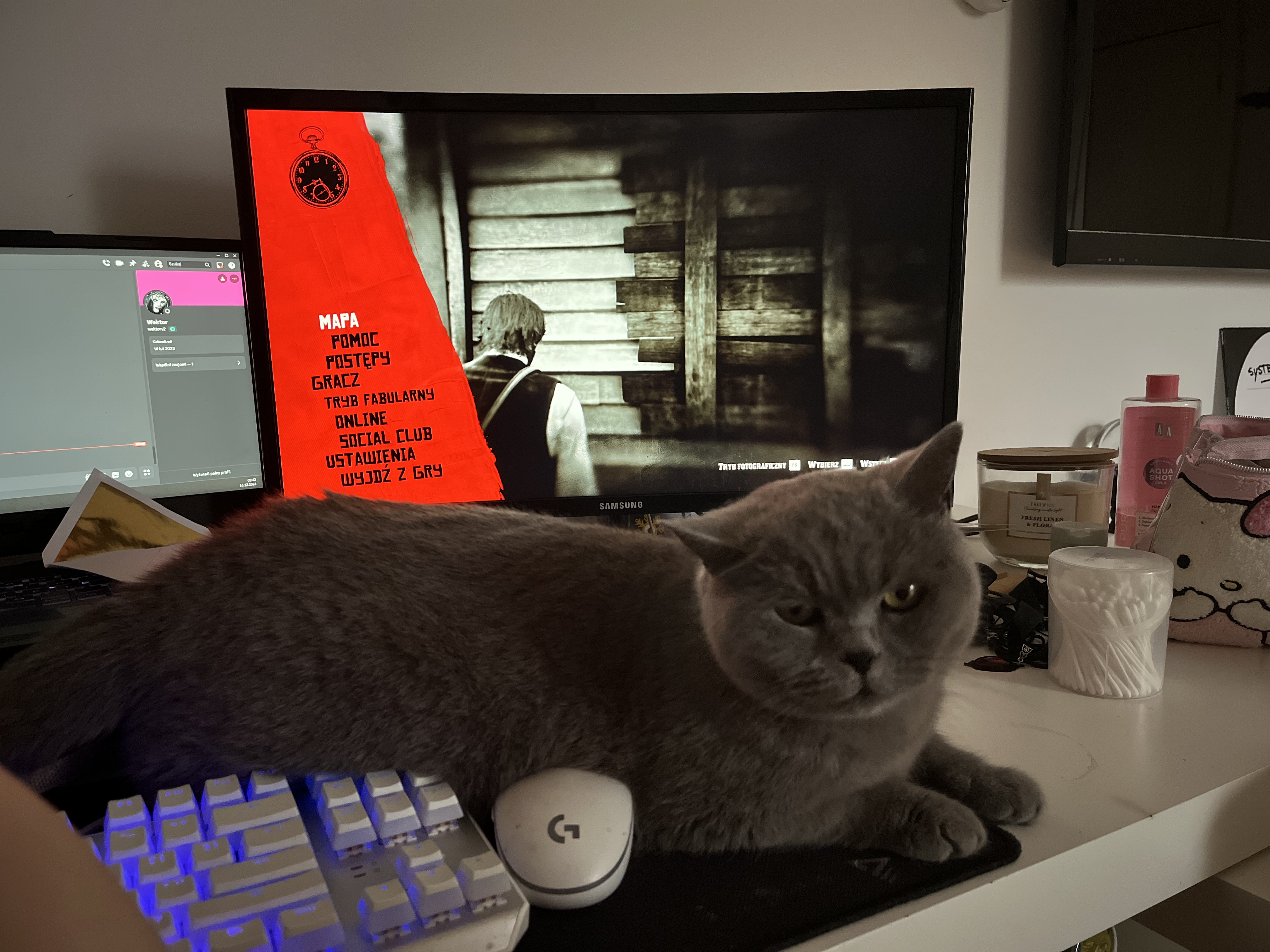 Niebieska1 by damski pedal