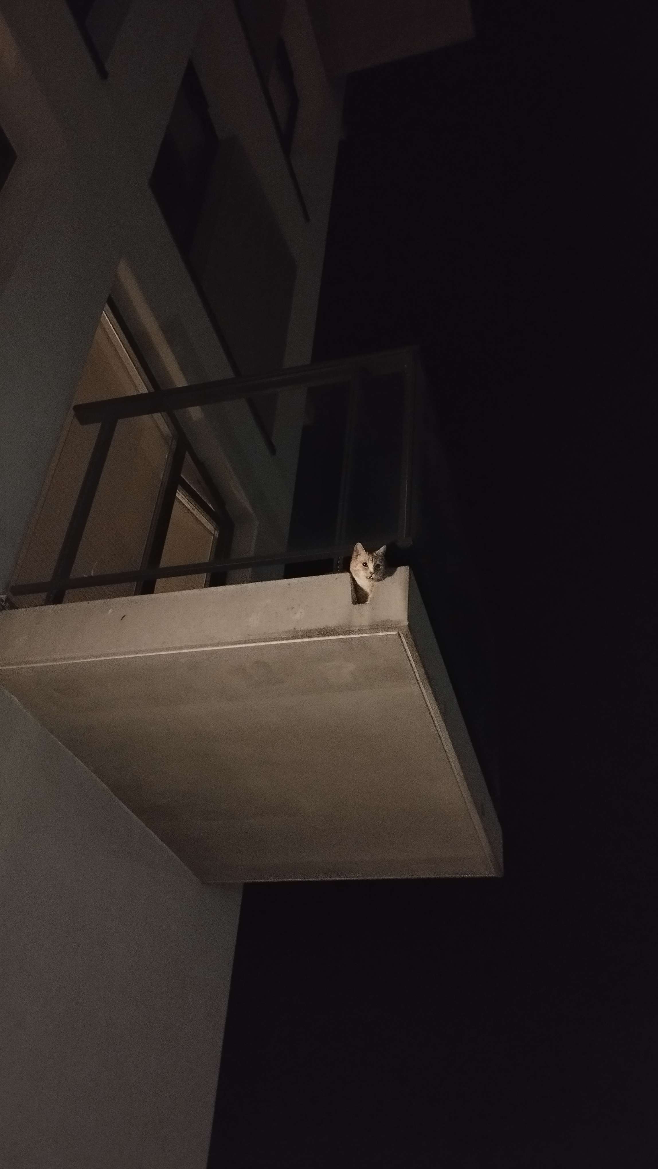 Strażnik by Viktoria