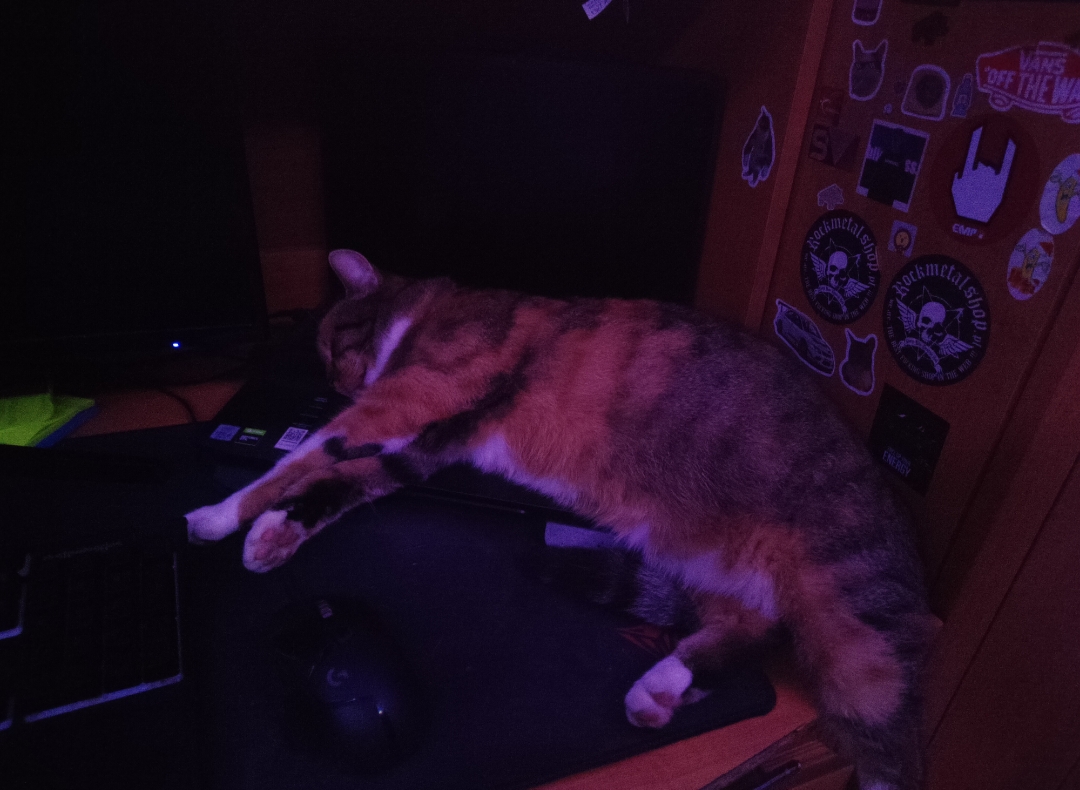 Autismo by Anonimowy Kociarz